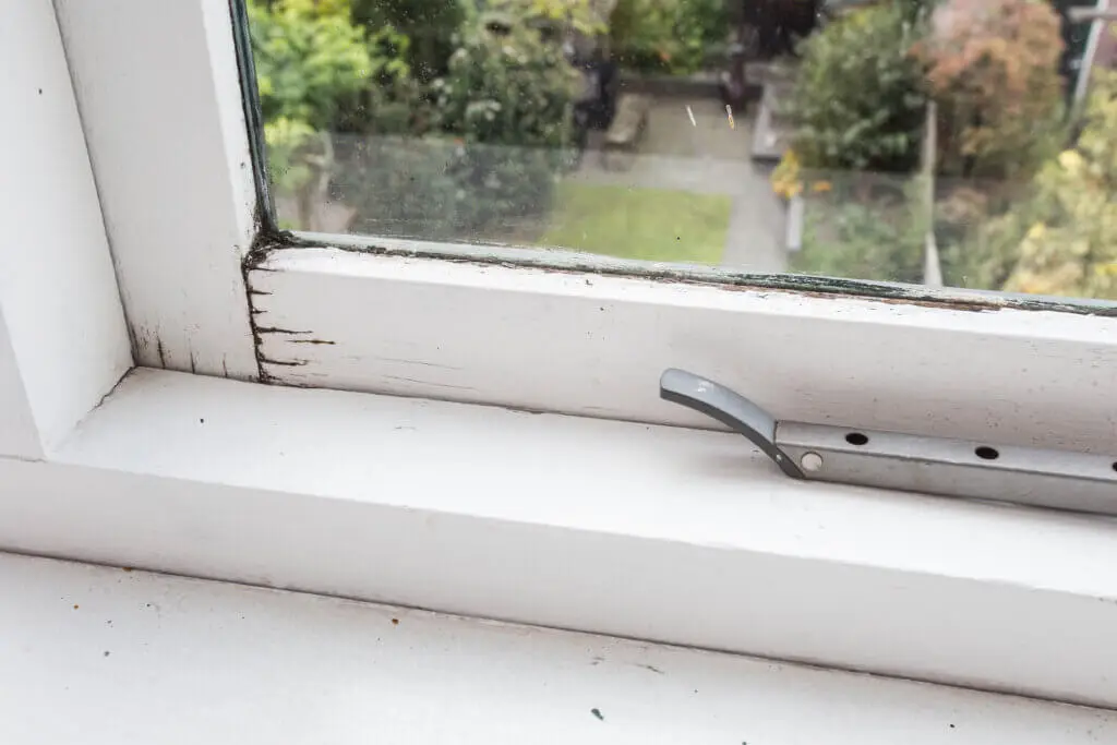 A window with a handle